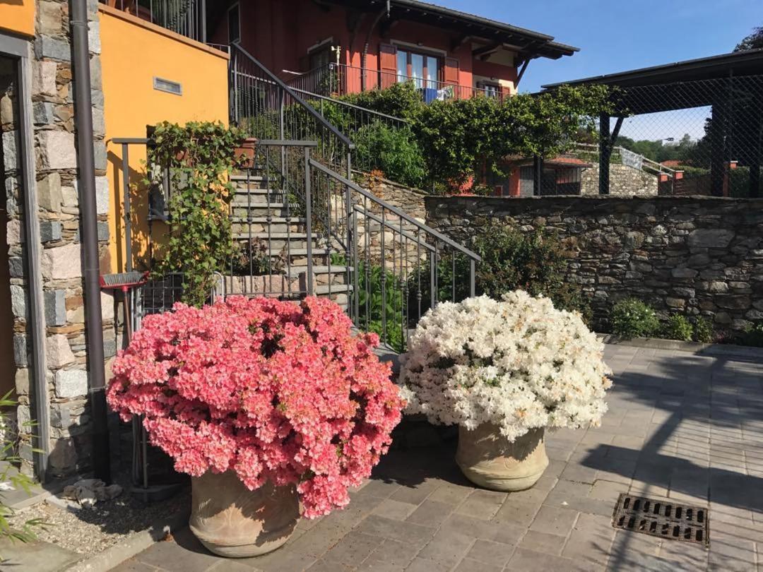 Villa Vill'Ariel Sport & Relax Brovello-Carpugnino Esterno foto